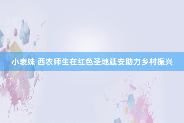 小表妹 西农师生在红色圣地延安助力乡村振兴