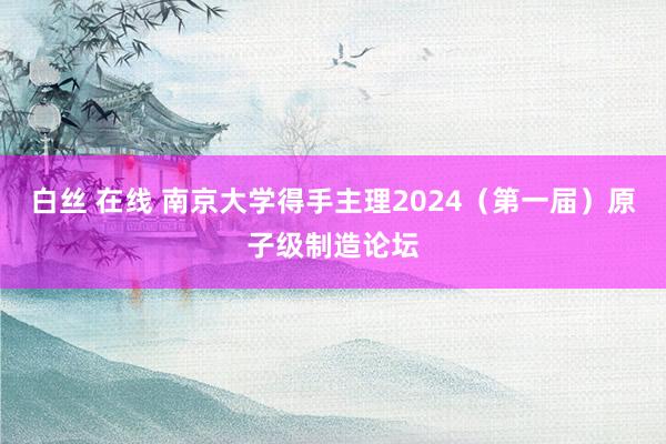 白丝 在线 南京大学得手主理2024（第一届）原子级制造论坛