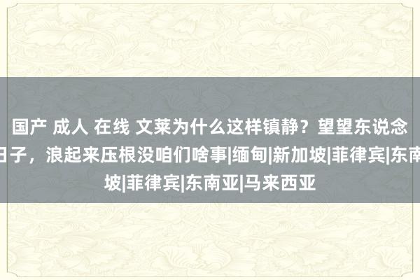 国产 成人 在线 文莱为什么这样镇静？望望东说念主家过的啥日子，浪起来压根没咱们啥事|缅甸|新加坡|菲律宾|东南亚|马来西亚