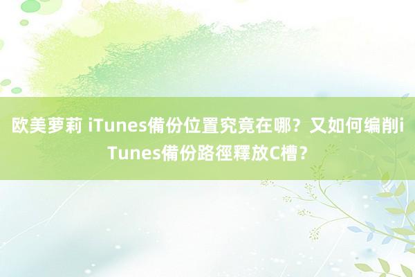 欧美萝莉 iTunes備份位置究竟在哪？又如何编削iTunes備份路徑釋放C槽？