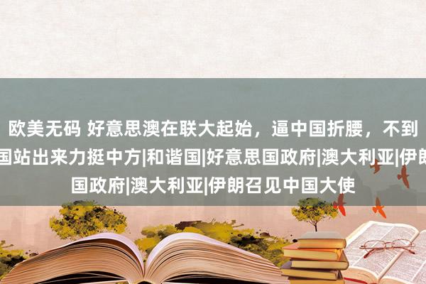 欧美无码 好意思澳在联大起始，逼中国折腰，不到12小时，上百国站出来力挺中方|和谐国|好意思国政府|澳大利亚|伊朗召见中国大使