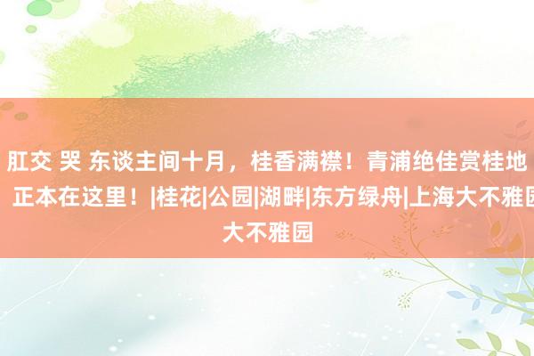 肛交 哭 东谈主间十月，桂香满襟！青浦绝佳赏桂地，正本在这里！|桂花|公园|湖畔|东方绿舟|上海大不雅园