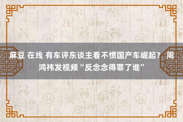 麻豆 在线 有车评东谈主看不惯国产车崛起？ 周鸿祎发视频“反念念得罪了谁”