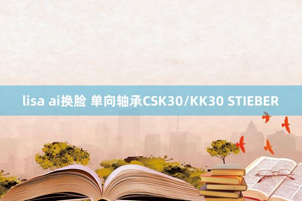 lisa ai换脸 单向轴承CSK30/KK30 STIEBER