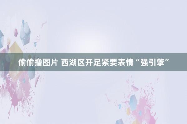 偷偷撸图片 西湖区开足紧要表情“强引擎”