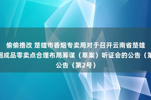 偷偷撸改 楚雄市香烟专卖局对于召开云南省楚雄市香烟成品零卖点合理布局筹谋（草案）听证会的公告（第2号）