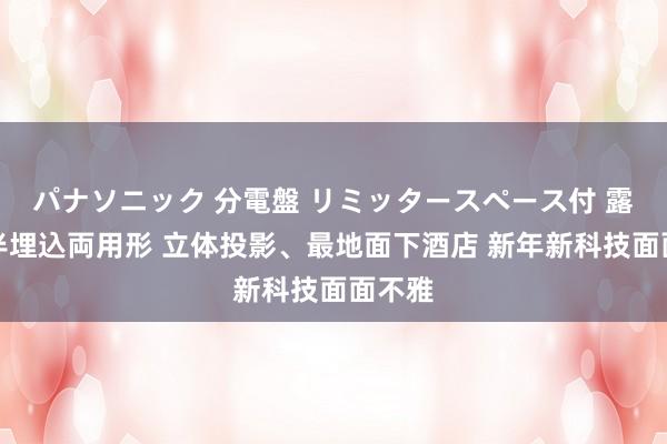 パナソニック 分電盤 リミッタースペース付 露出・半埋込両用形 立体投影、最地面下酒店 新年新科技面面不雅