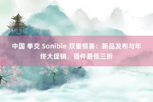 中国 拳交 Sonible 双重惊喜：新品发布与年终大促销，插件最低三折