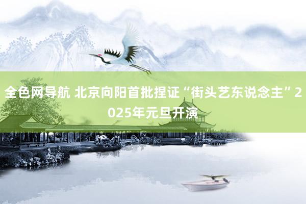 全色网导航 北京向阳首批捏证“街头艺东说念主”2025年元旦开演