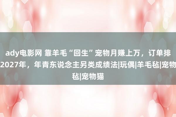 ady电影网 靠羊毛“回生”宠物月赚上万，订单排到2027年，年青东说念主另类成绩法|玩偶|羊毛毡|宠物猫